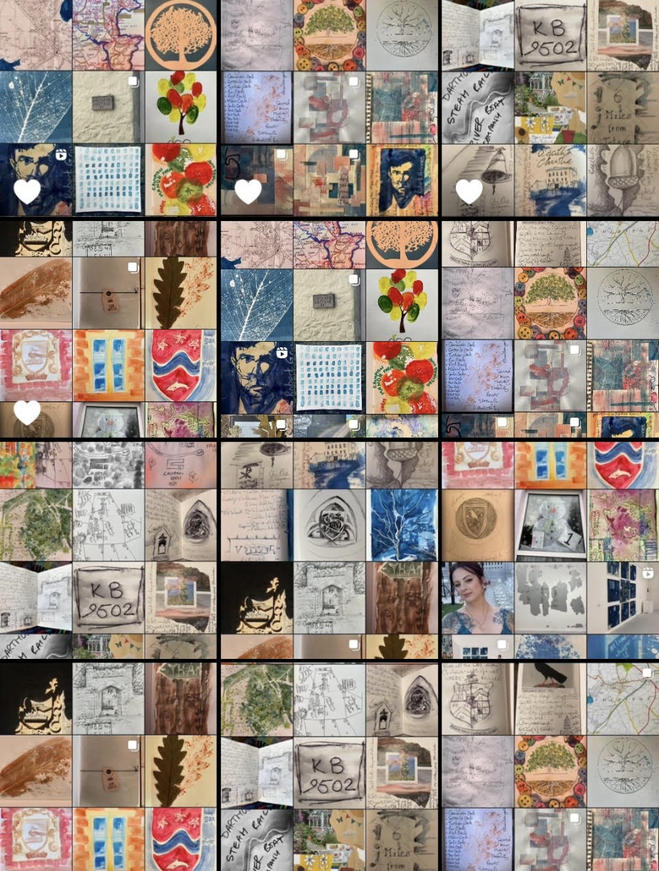 Grid of research studies from Galmpton field work